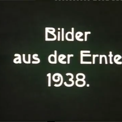 Mücheln 1938 (Film)