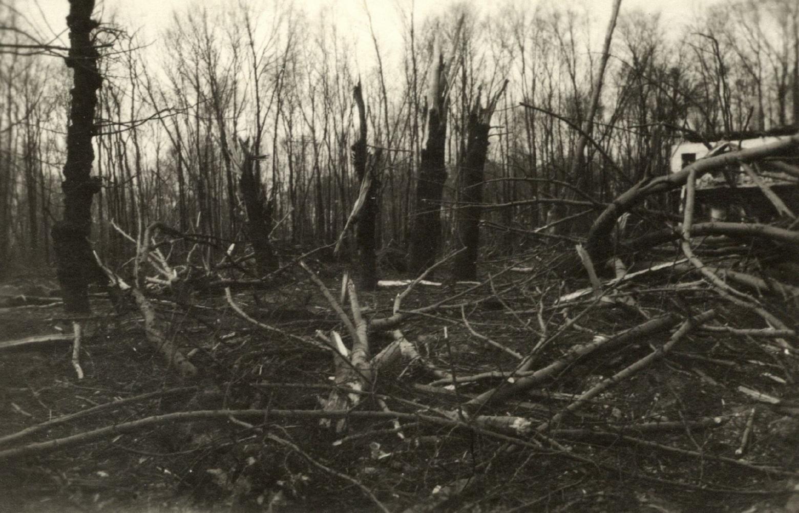 Wäldchen am Waldbad Leuna Winter/Frühjahr  1941
